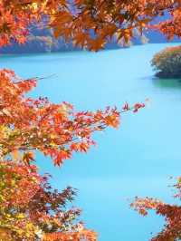 東京周邊8個絕美賞楓之地~