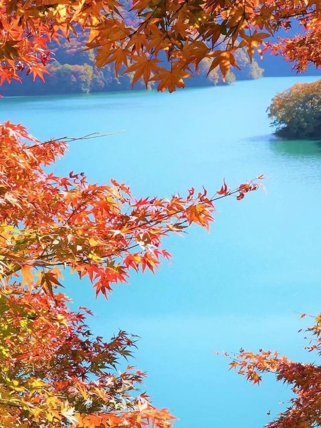 東京周邊8個絕美賞楓之地~