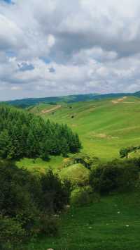 天水張家川平安草園：一場心靈與自然的完美邂逅