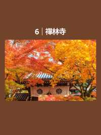 🍂2025-2026 全球賞秋景點 TOP10