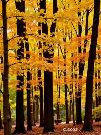 甘肅呢個「隴上小九寨」簡直靚到喊!比九寨溝人少景更仙!