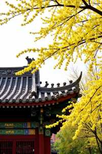 甘肅絕美秘境發現隴版小九寨,人少景靚唔使驚!