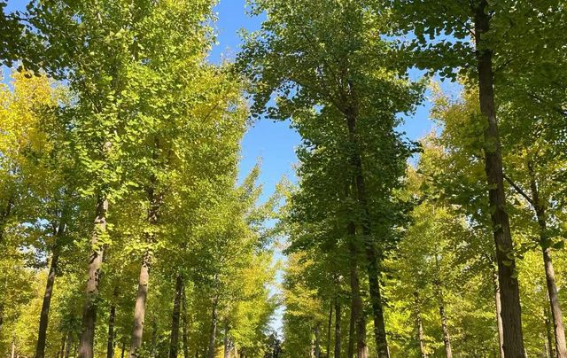 稷山有咩好玩嘅旅遊景點 稷山有咩好玩嘅旅遊景點