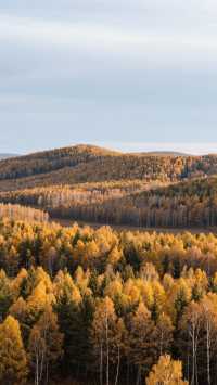 11月的塞罕壩四天三晚,玩轉北國初冬!