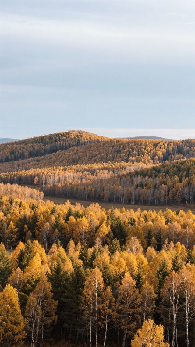11月的塞罕壩四天三晚,玩轉北國初冬! 11月的塞罕壩四天三晚,玩轉北國初冬!