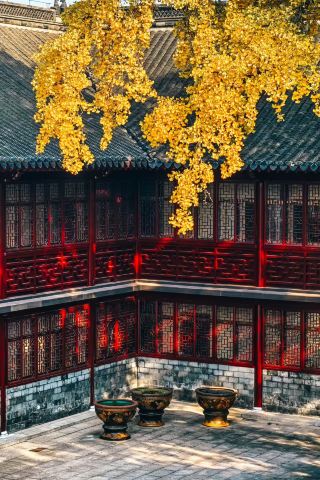 Zhenjiang Jinshan Temple One-Day Tour Guide|Encounter the Secret Realm Like Fahai