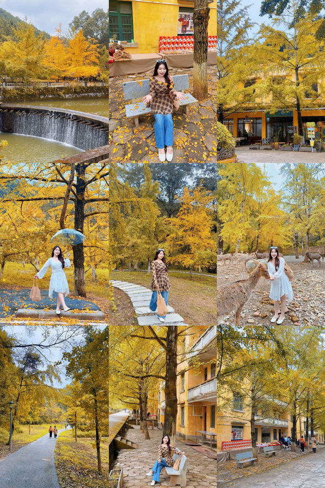 驅車4h來到韶關 就為了尋找秋天的顏色
