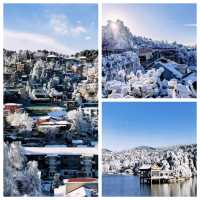 雲霧丹楓解鎖仙俠界現實版！