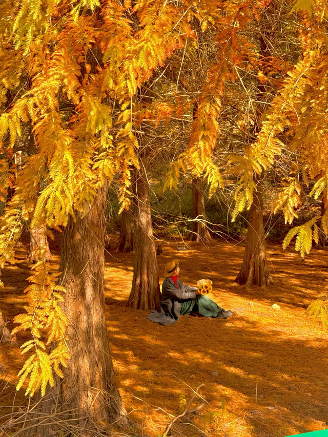 南京99%的人都不知道這裡， 出片還人少