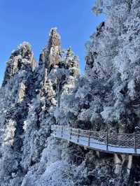 廣東雪景平替1.5h直達莽山絕美霧淞秘境