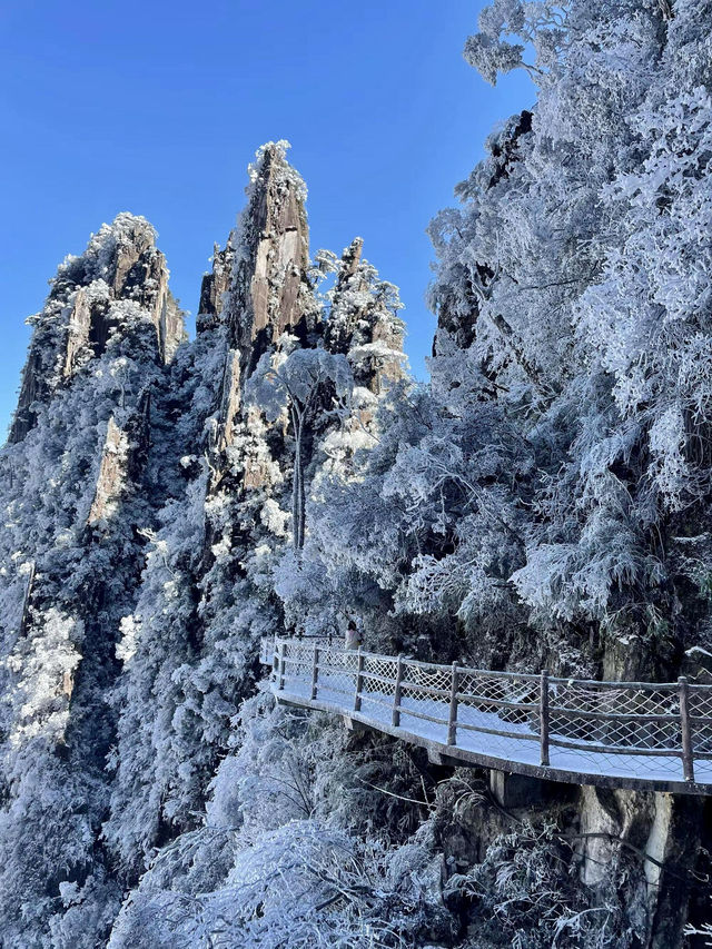廣東雪景平替1.5h直達莽山絕美霧淞秘境