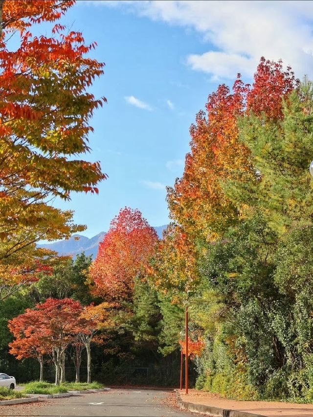 秋霜送君千里遠，月候來年嶺上紅