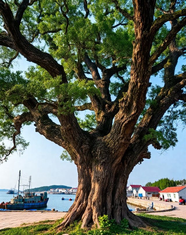 渡口村|寧靜而富有古韻的村落|藏在膠東的田園桃源