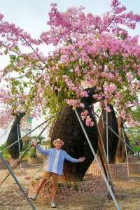 大膽預測這片奇幻森林將成為廣佛新頂流