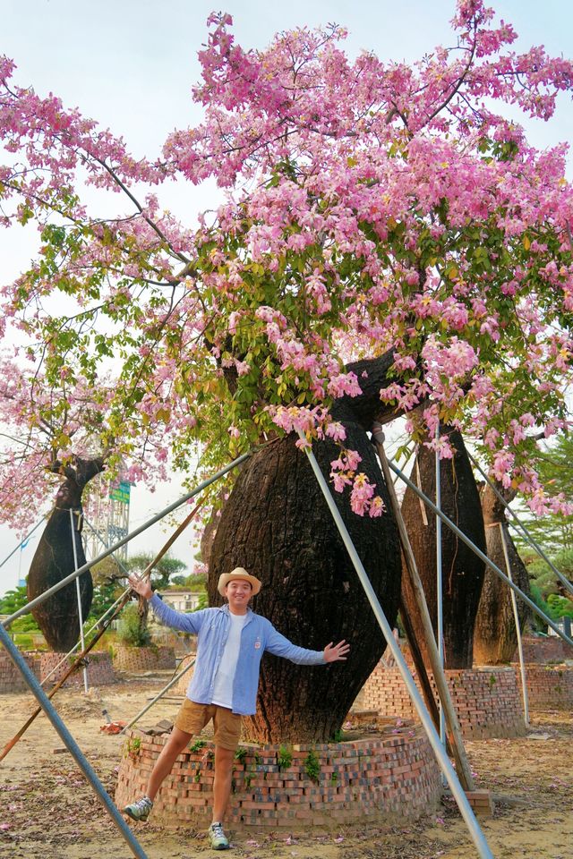 大膽預測這片奇幻森林將成為廣佛新頂流