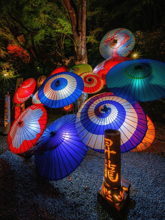 爆美！！！奈良室生寺紅葉燈光展·小眾秘境打卡指南