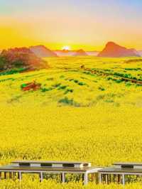 《國家地理》沒騙我12月的元陽梯田