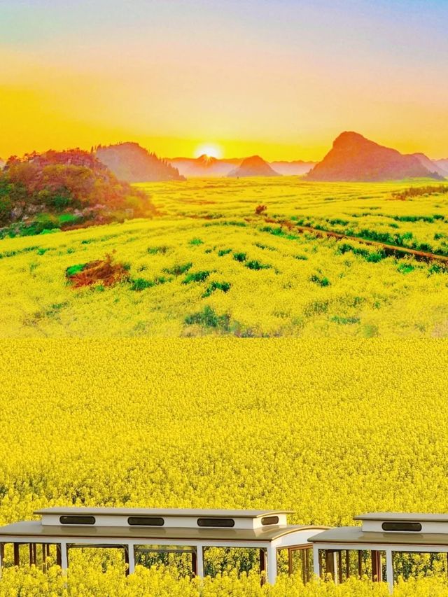 《國家地理》沒騙我12月的元陽梯田 《國家地理》沒騙我12月的元陽梯田