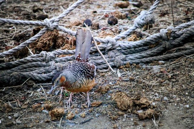 四姑娘山3日旅拍攻略冬季絕美山景這樣拍！