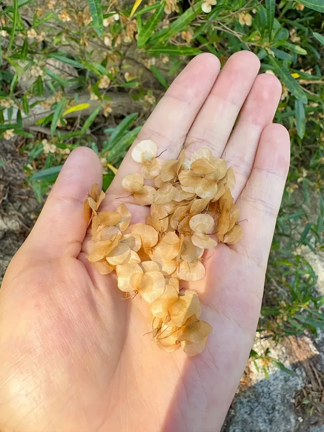 在廈門秋日最美山海步道全程下坡