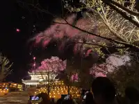 婺女洲|體驗一場盛世繁華|附機位