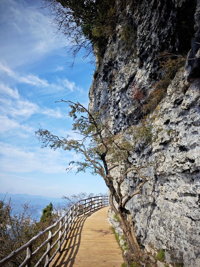 雲霧繚繞龍頭山