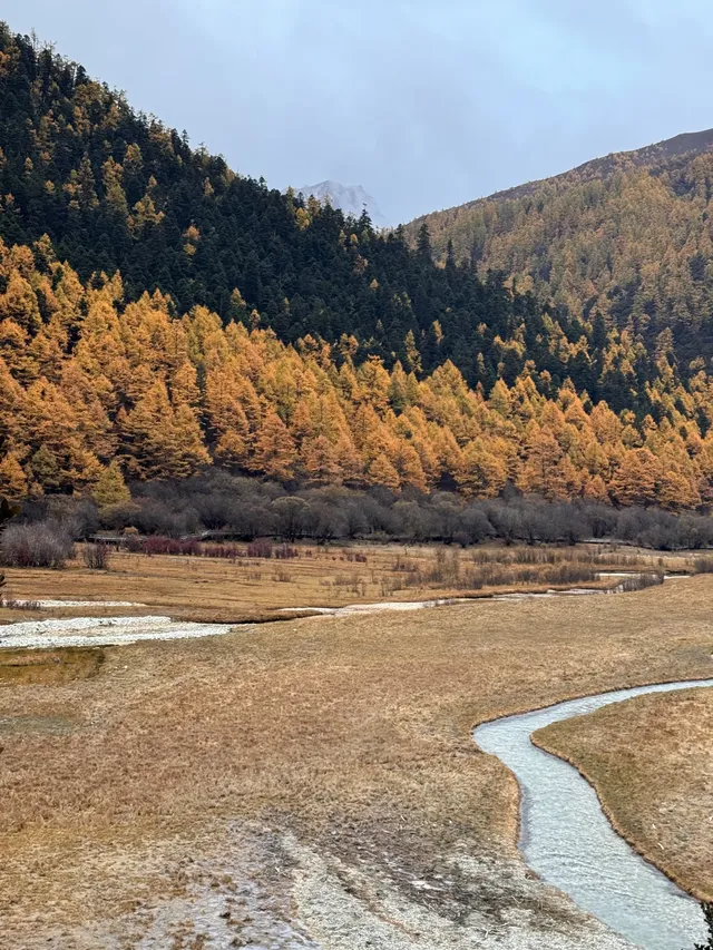 一人行公共交通稻城亞丁三天分享25.10.30 一人行公共交通稻城亞丁三天分享25.10.30