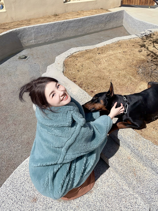 晴空下的香格里拉漫步-還有可以騎