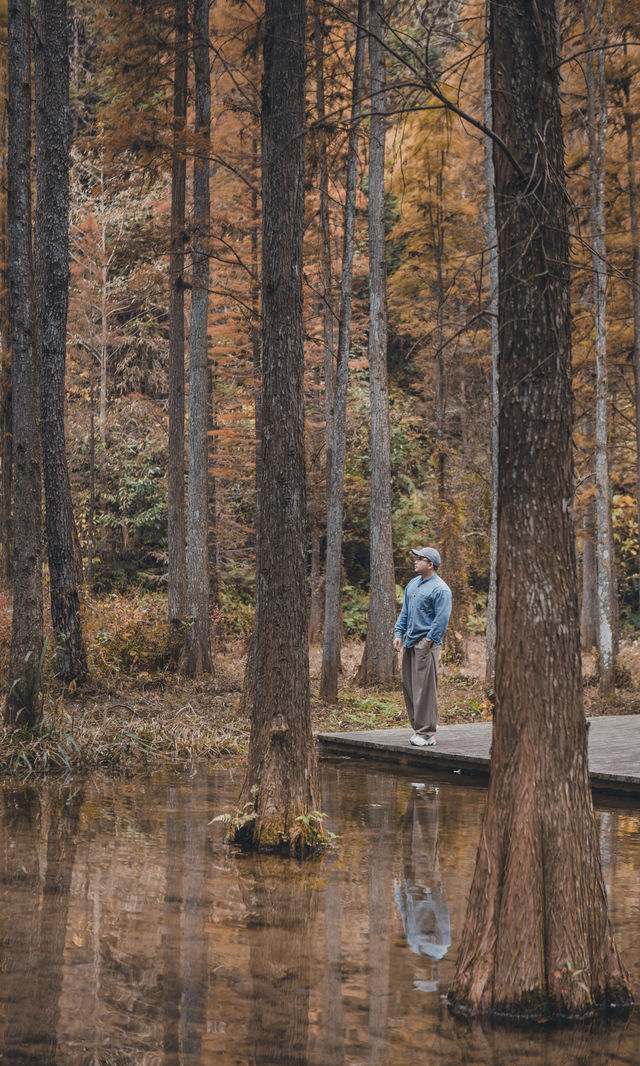 接下來的韶關,將是上帝打翻的調色盤! 接下來的韶關,將是上帝打翻的調色盤!