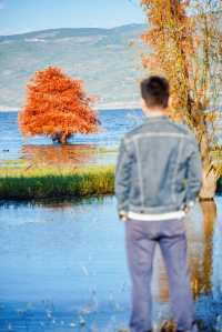 大理4天3晚遊，說說我的真實感受和建議