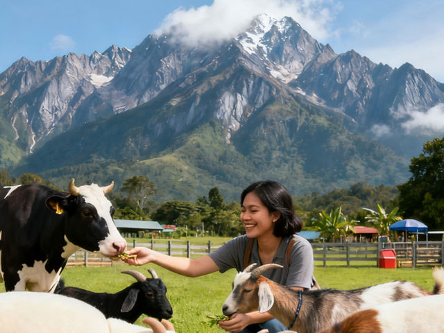 🇲🇾5 Days in Kota Kinabalu: Mountain Thrills, Island Bliss & Cultural Gems 🇲🇾5 Days in Kota Kinabalu: Mountain Thrills, Island Bliss & Cultural Gems