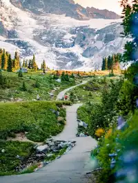 美國西雅圖包車｜市區雷尼爾往返華人接送