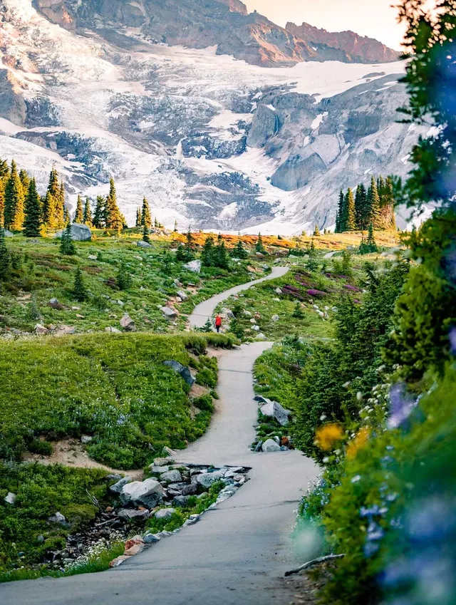 美國西雅圖包車｜市區雷尼爾往返華人接送