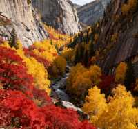 可可托海之秋,邂逅北疆最濃烈的金秋盛宴