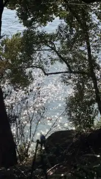 這裡不是瑞士！這裡是千島湖植物園