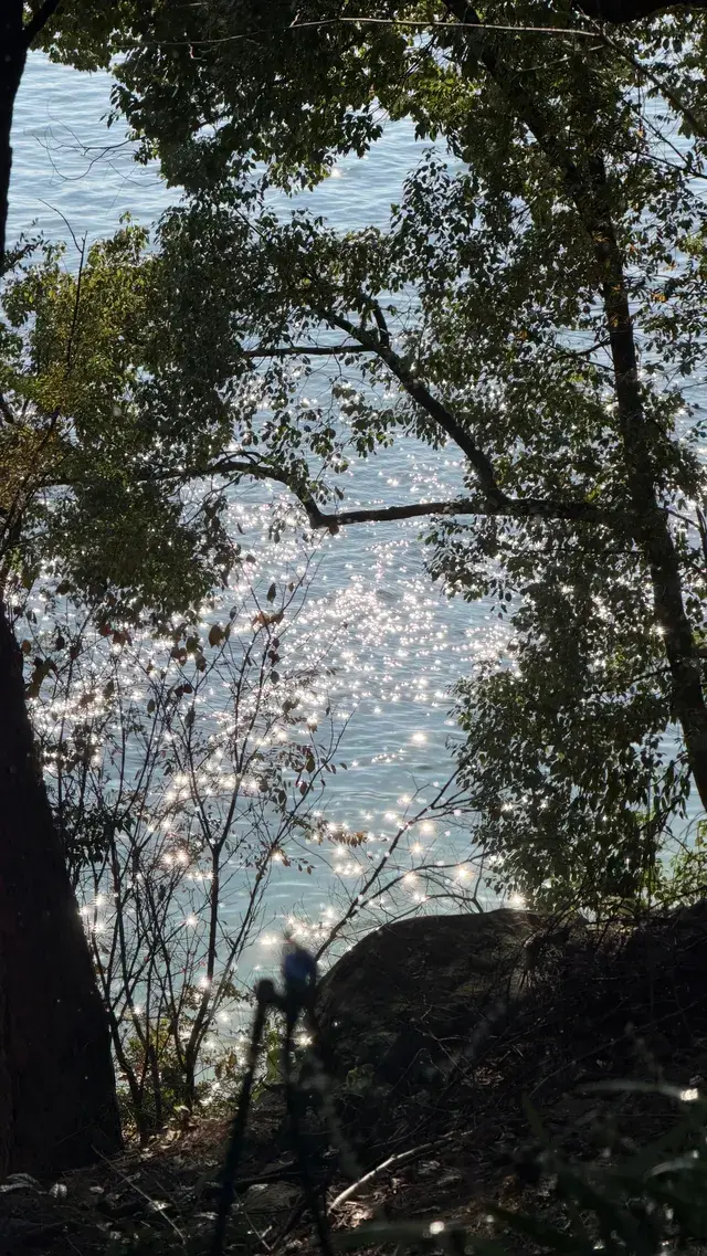 這裡不是瑞士！這裡是千島湖植物園