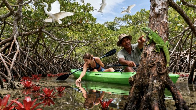 曼谷+象島8日遊攻略