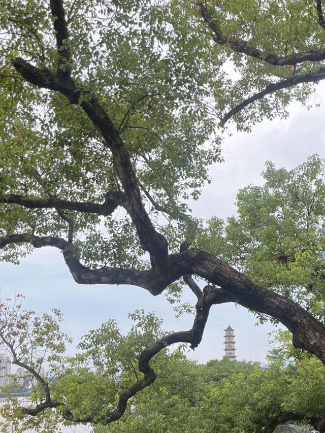 溫州5日遊省錢又好玩攻略拿好 溫州5日遊省錢又好玩攻略拿好