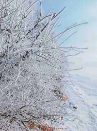 吉林霧淞|||吉林霧淞,冬季你不能錯過的美景,很壯觀
