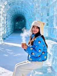 哈爾濱超實用攻略!本地人都讚的玩法