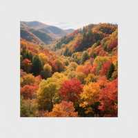 來蛟河紅葉谷開啟一場秋日的浪漫之旅吧