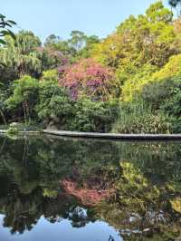 藏在深圳市中心的秘密角落,太美啦!