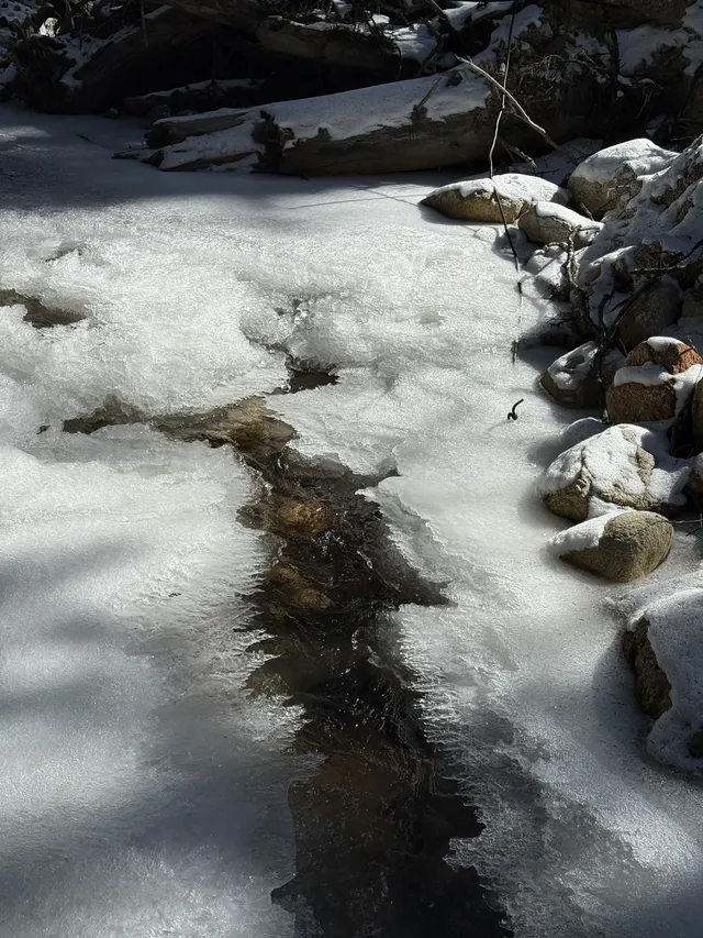 長坪溝美哭！雪山草甸徒步真的太治癒