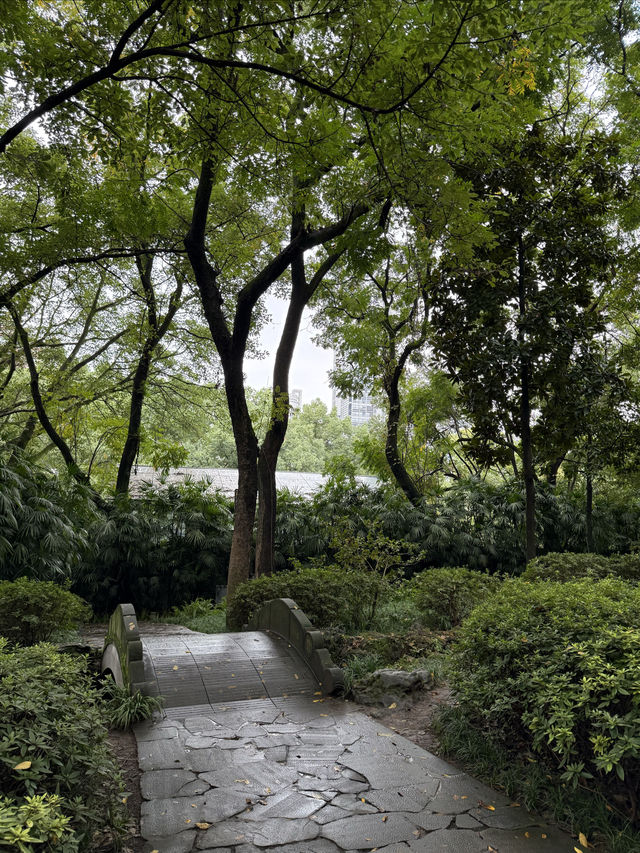 重慶散步|十一月依舊翠綠的鵝嶺公園 重慶散步|十一月依舊翠綠的鵝嶺公園