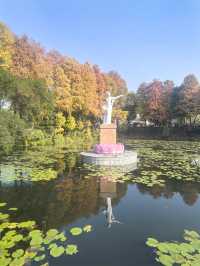 【韶關紅葉季】韶州公園漫步指南童話世界的調色盤在這裡!