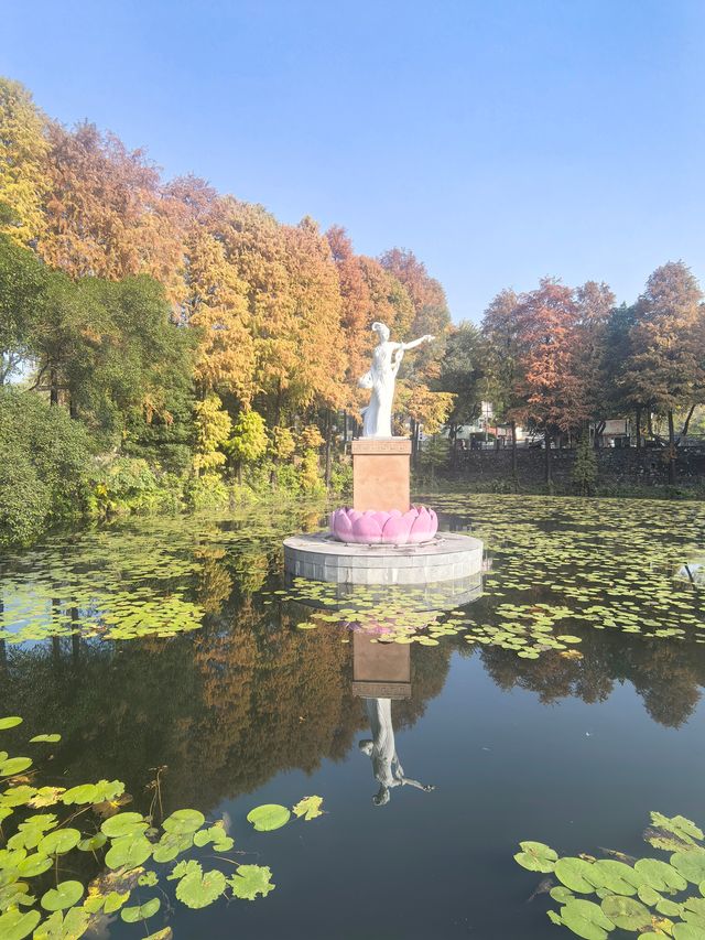 【韶關紅葉季】韶州公園漫步指南童話世界的調色盤在這裡! 【韶關紅葉季】韶州公園漫步指南童話世界的調色盤在這裡!
