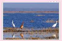 白城三日遊攻略