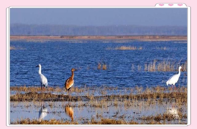 白城三日遊攻略 白城三日遊攻略