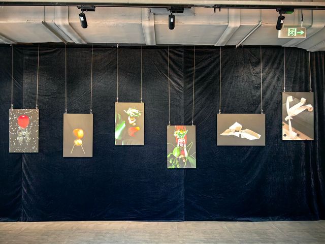 觀看的回路 觀看的回路