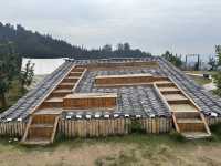 榕江《鳳柚基地》